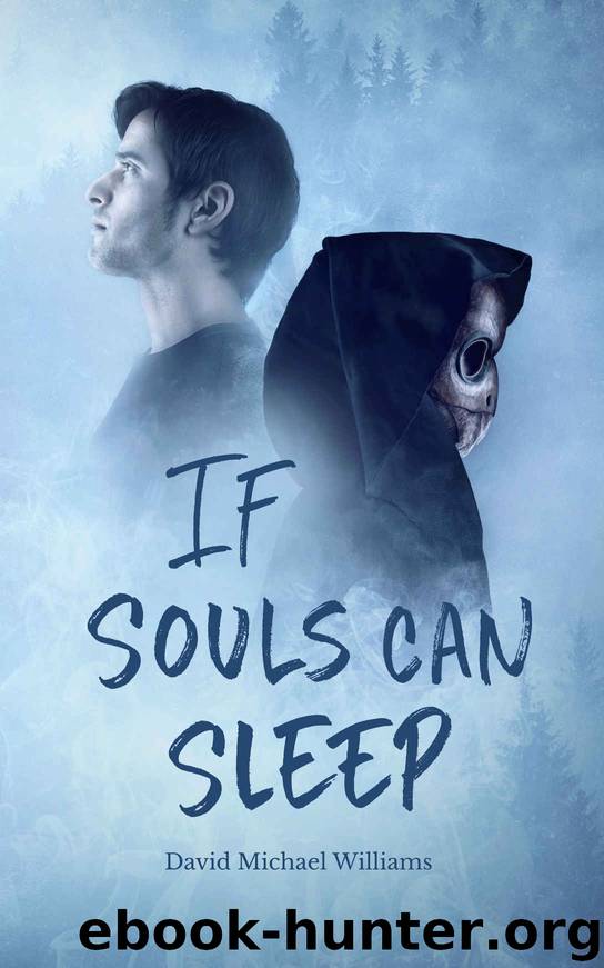If Souls Can Sleep by David Michael Williams