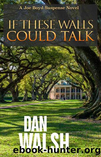If These Walls Could Talk (Joe Boyd Suspense Series Book 1) by Dan Walsh