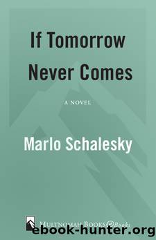 If Tomorrow Never Comes by Marlo Schalesky