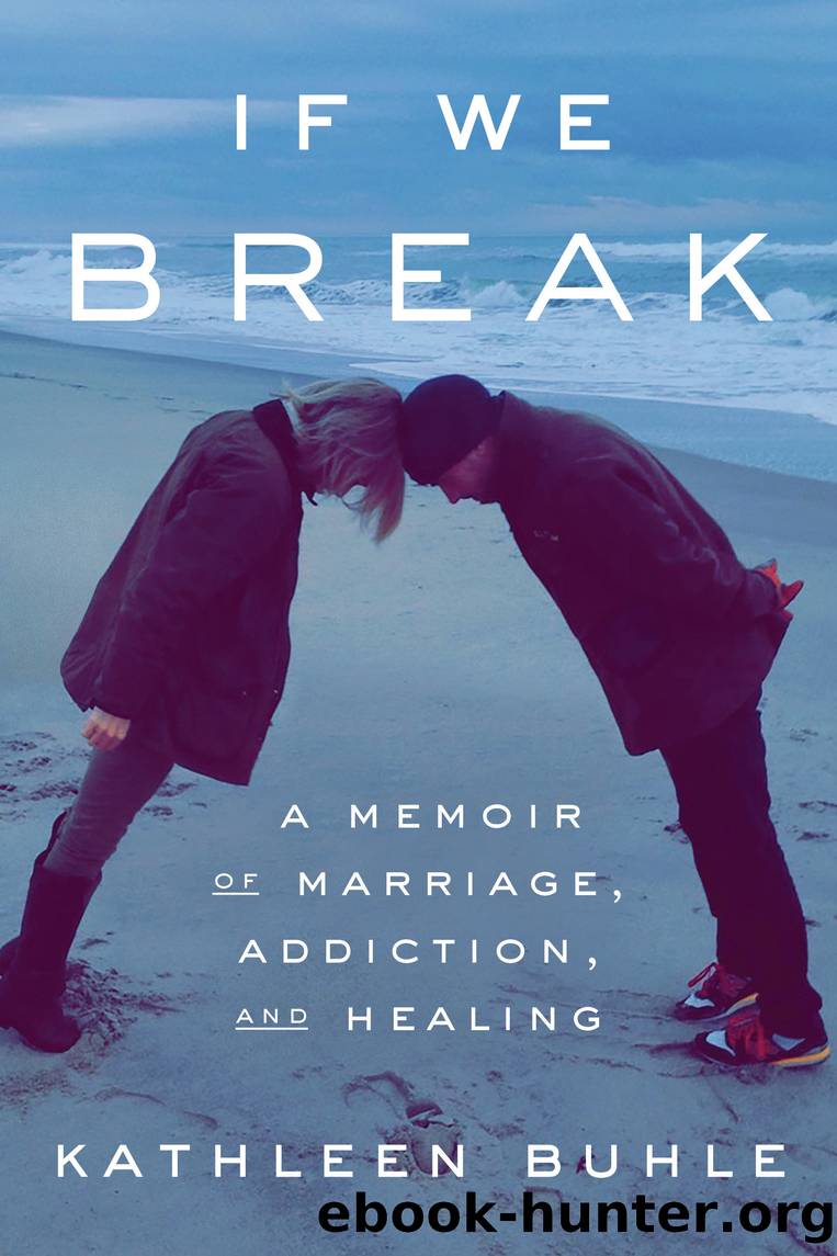 If We Break by Kathleen Buhle