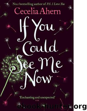 If You Could See Me Now by Cecelia Ahern