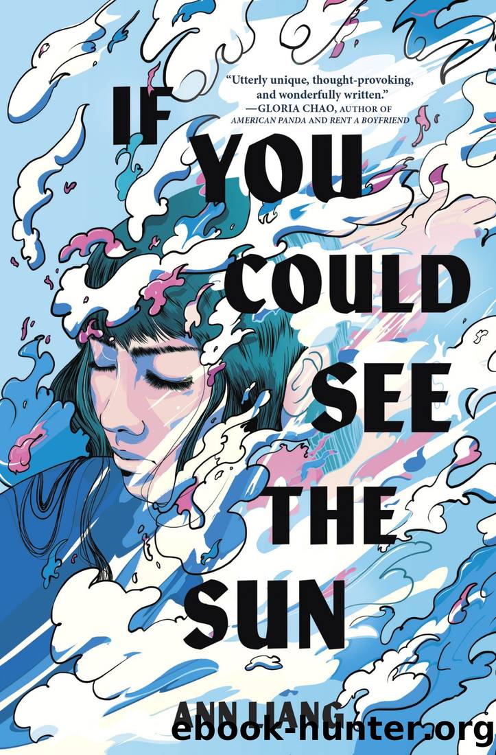 If You Could See the Sun by Ann Liang