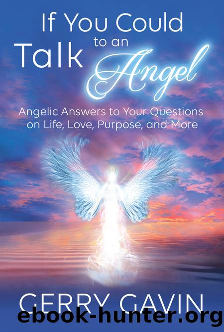 If You Could Talk to an Angel by Gerry Gavin