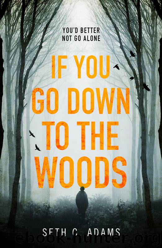 If You Go Down to the Woods by Seth C. Adams