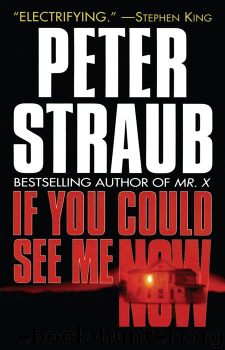 If You See Me Now by Peter Straub