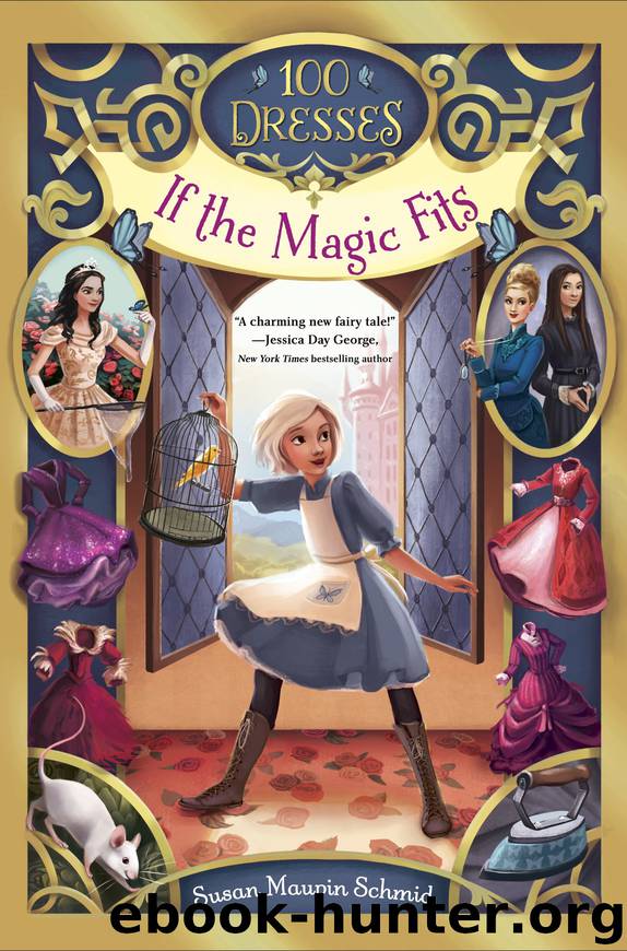 If the Magic Fits by Susan Maupin Schmid