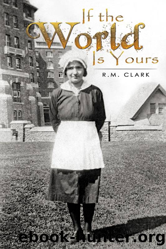 If the World Is Yours by R.M. Clark