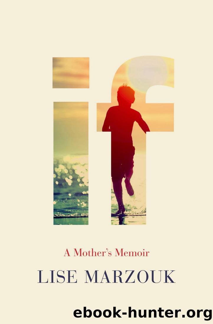 If_A Mother's Memoir by Lise Marzouk