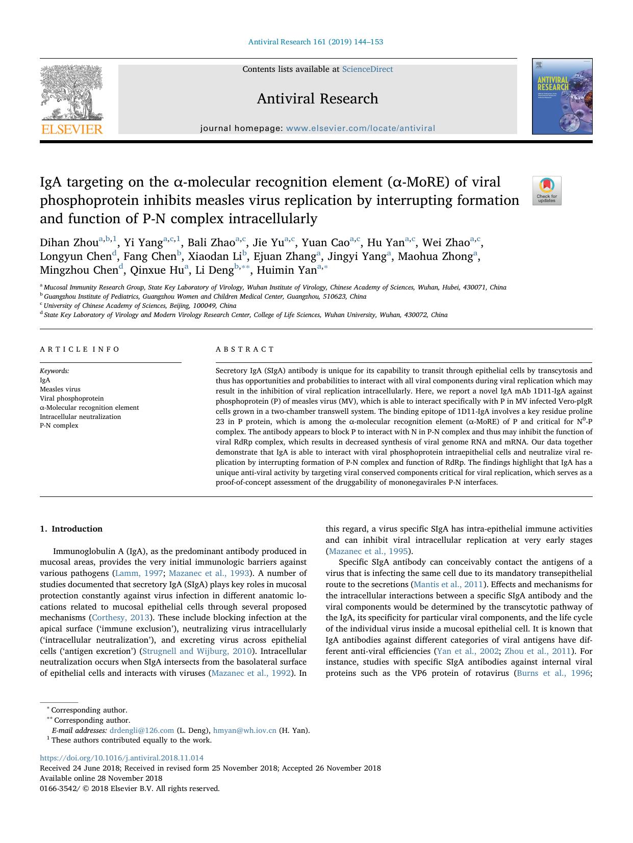 IgA targeting on the Î±-molecular recognition element (Î±-MoRE) of viral phosphoprotein inhibits measles virus replication by interrupting formation and function of P-N complex intracellularly by unknow