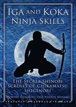 Iga and Koka Ninja Skills by Antony Cummins & Yoshie Minami