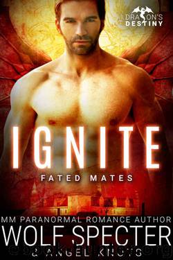 Ignite by Wolf Specter & Angel Knots