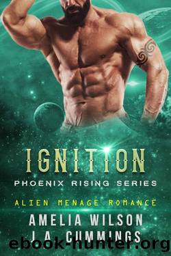 Ignition by Amelia Wilson & J. A. Cummings