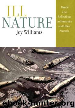 Ill Nature by Joy Williams