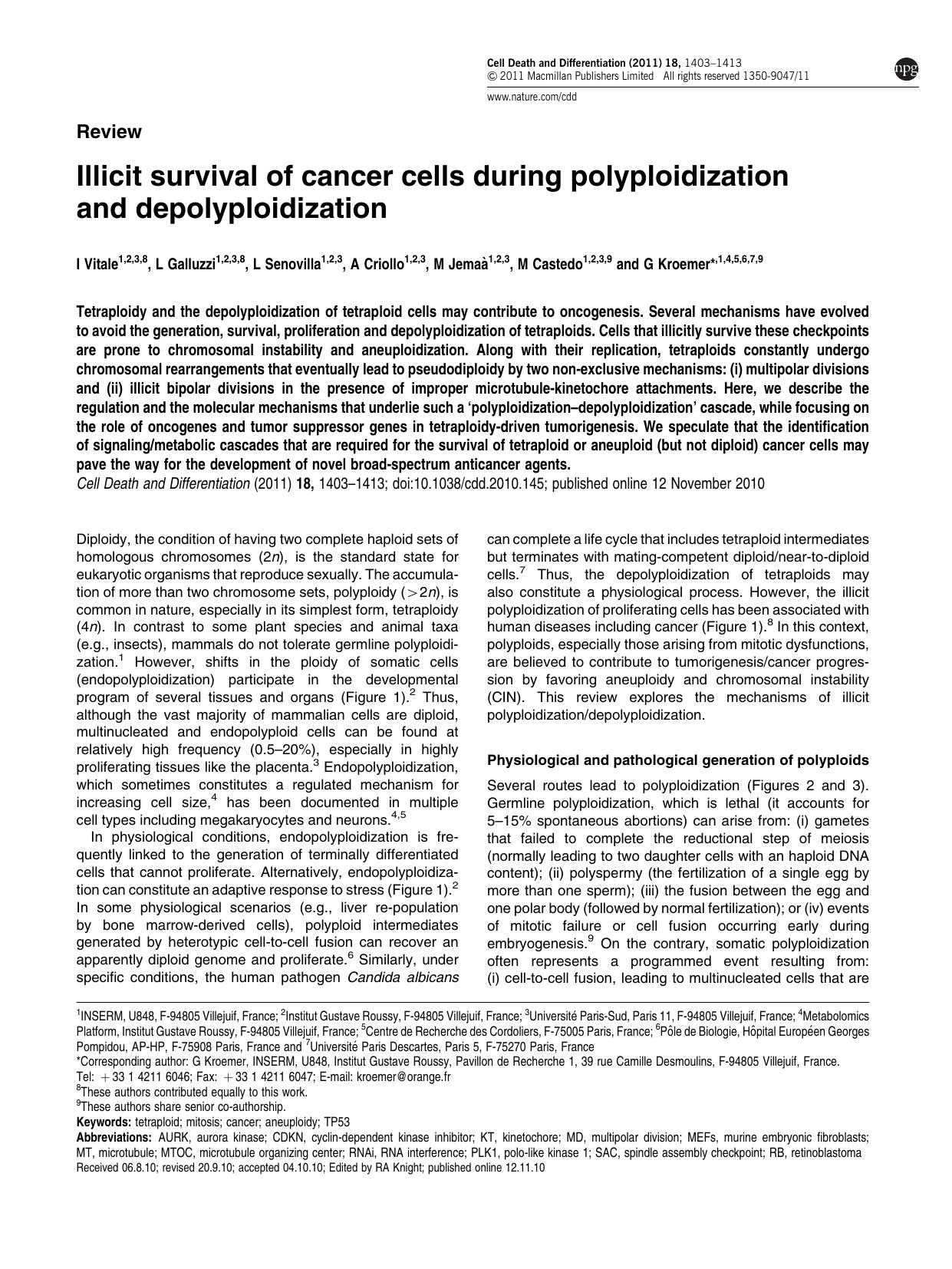 Illicit survival of cancer cells during polyploidization and depolyploidization by I Vitale & L Galluzzi & L Senovilla & A Criollo & M Jema&&agrave; & M Castedo & G Kroemer