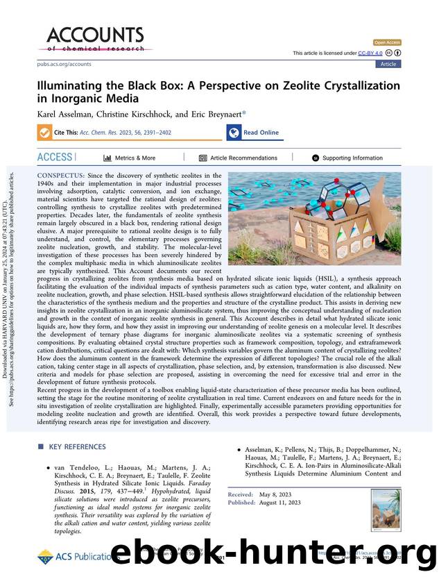Illuminating the Black Box: A Perspective on Zeolite Crystallization in Inorganic Media by Karel Asselman Christine Kirschhock & Eric Breynaert