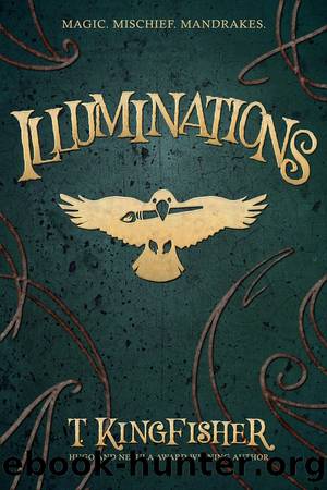 Illuminations by Kingfisher T