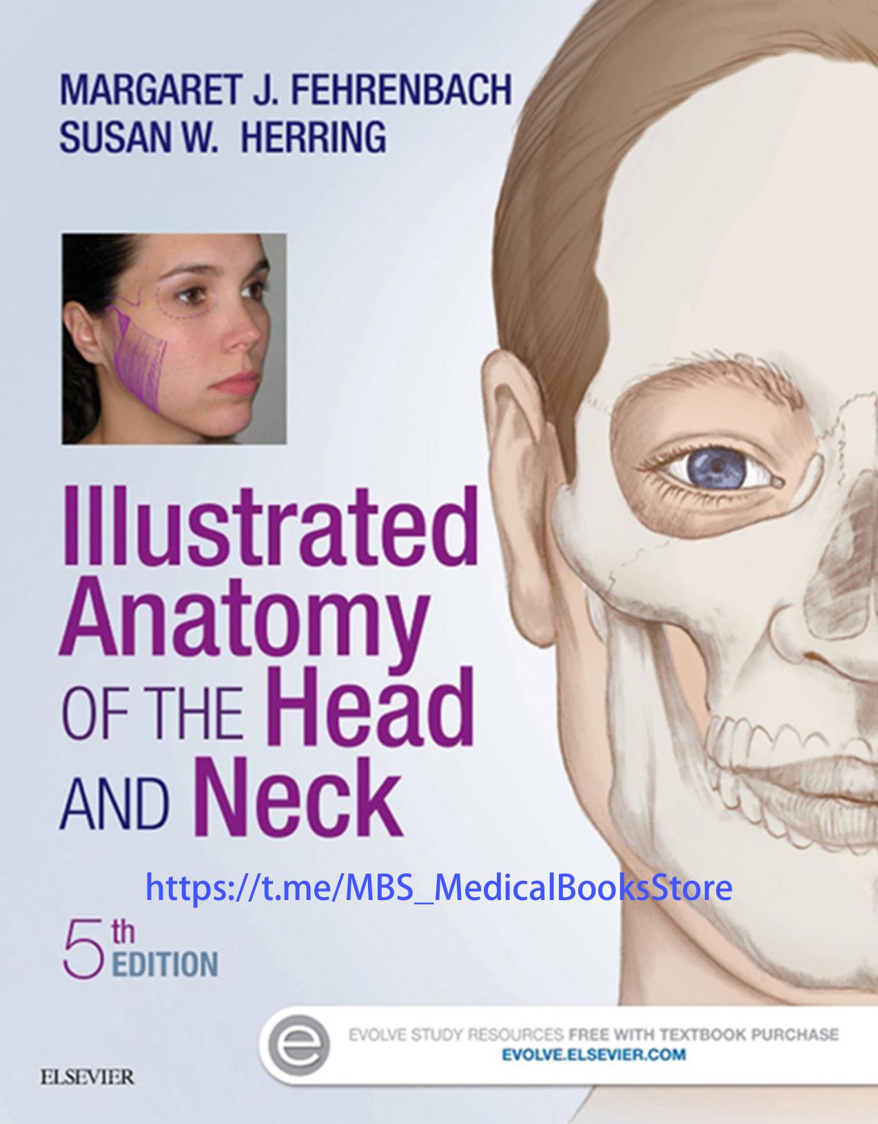 Illustrated Anatomy of the Head and Neck by Margaret Fehrenbach Susan Herring