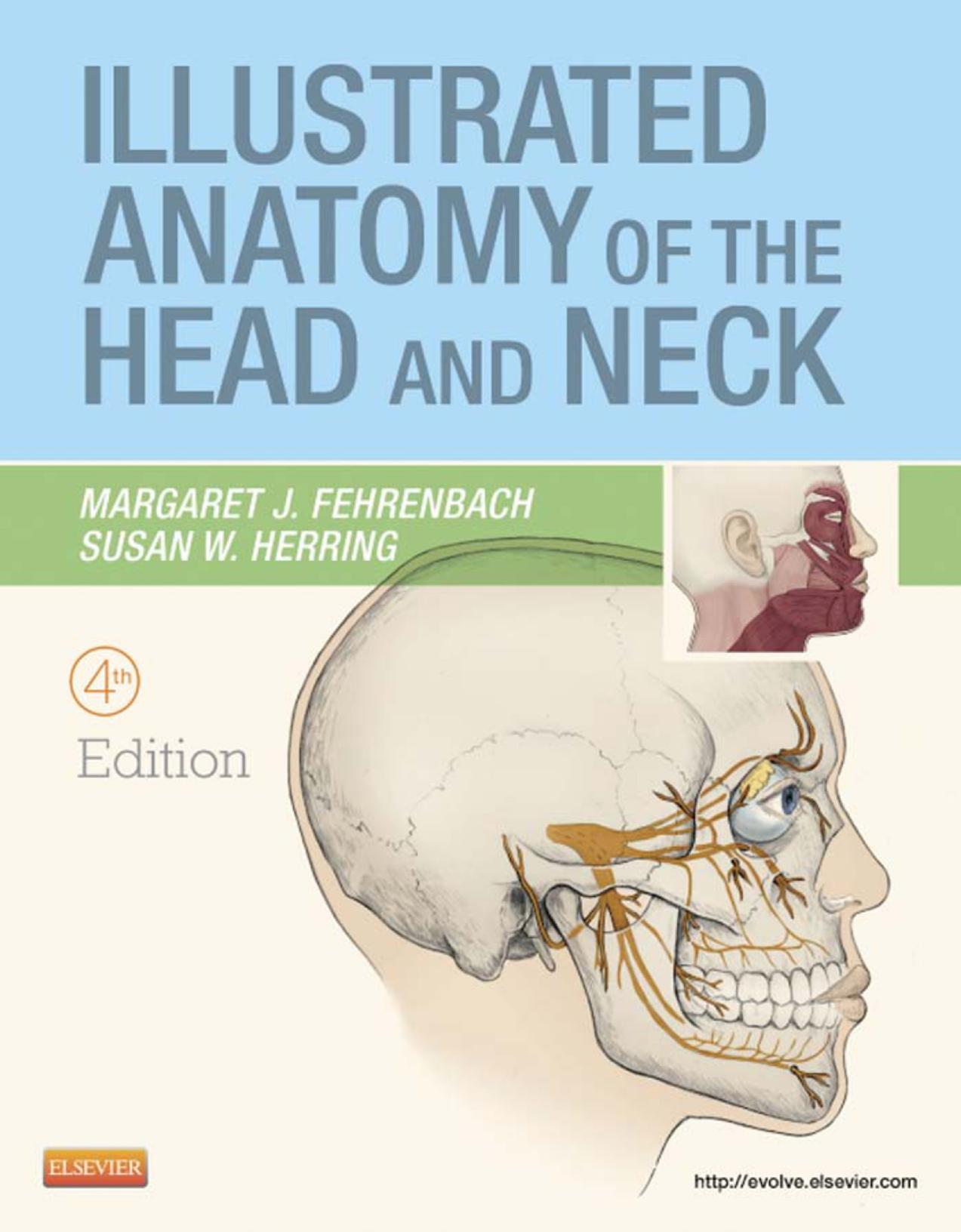 Illustrated Anatomy of the Head and Neck by Margaret J. Fehrenbach Susan W. Herring