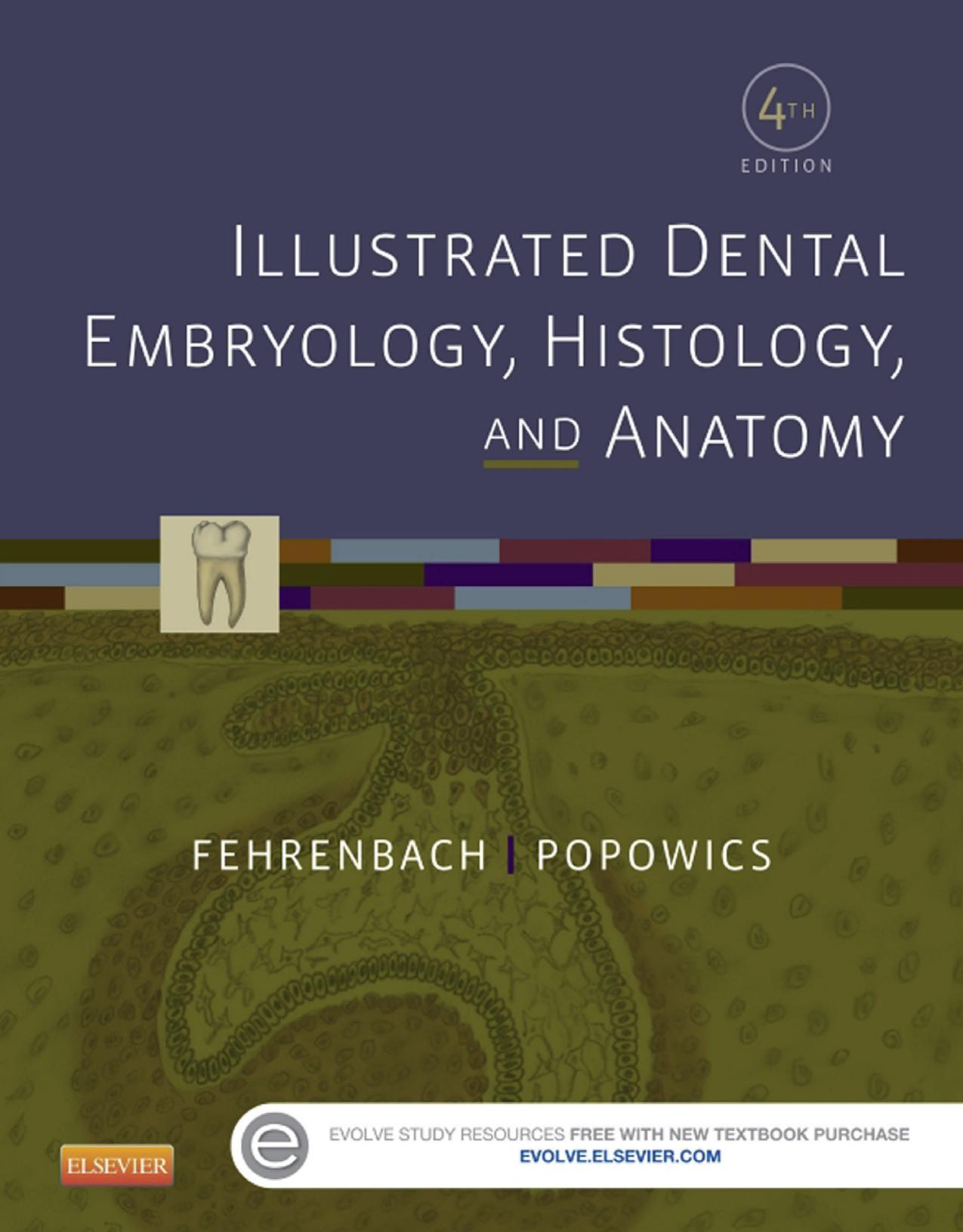 Illustrated Dental Embryology, Histology, and Anatomy by Margaret J. Fehrenbach RDH MS & Tracy Popowics PhD