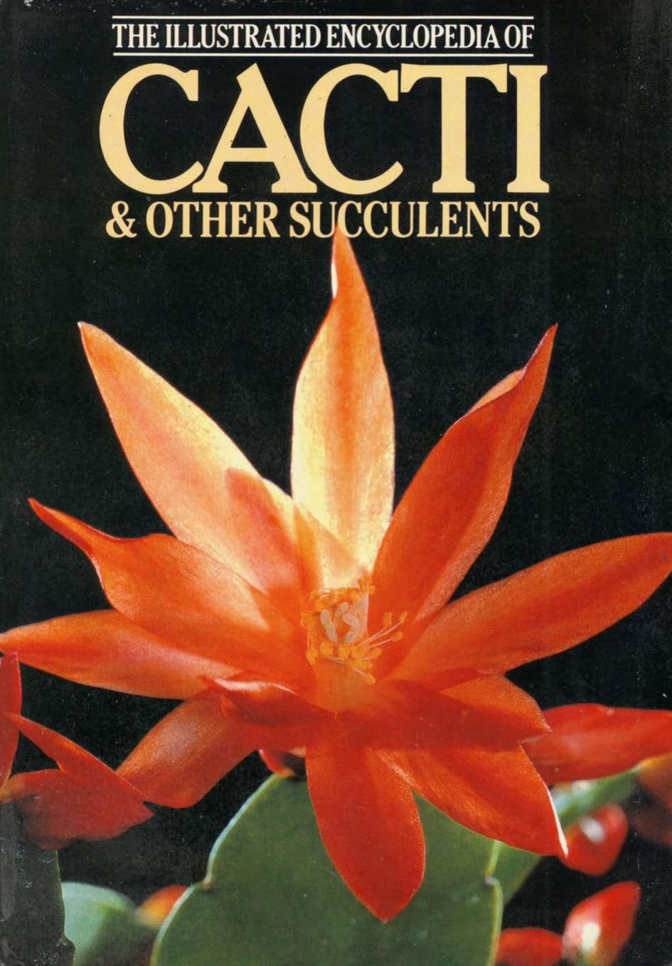 Illustrated Encyclopaedia of Cacti and Other Succulents by Unknow