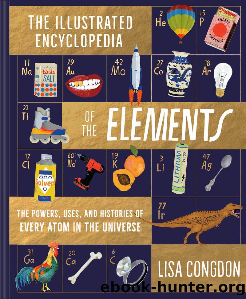 Illustrated Encyclopedia of the Elements by Lisa Congdon