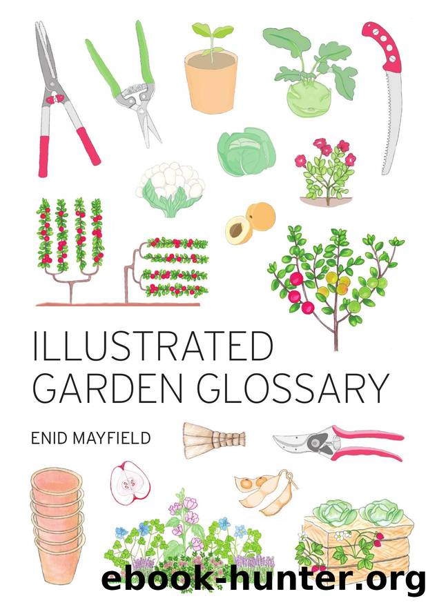Illustrated Garden Glossary by Enid Mayfield by Unknown