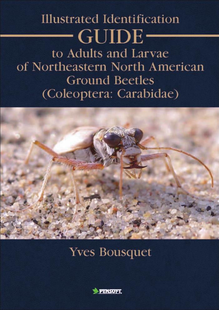 Illustrated Identification Guide to Adults & Larvae of Northeastern North America Ground Beetles: Coleoptera Carabidae (Faunistica) by Yves Bousquet