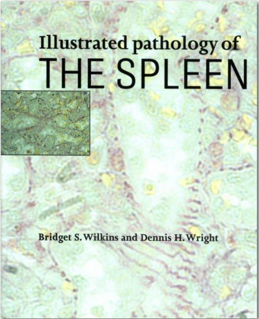 Illustrated Pathology of the Spleen by Bridget S. Wilkins Dennis H. Wright