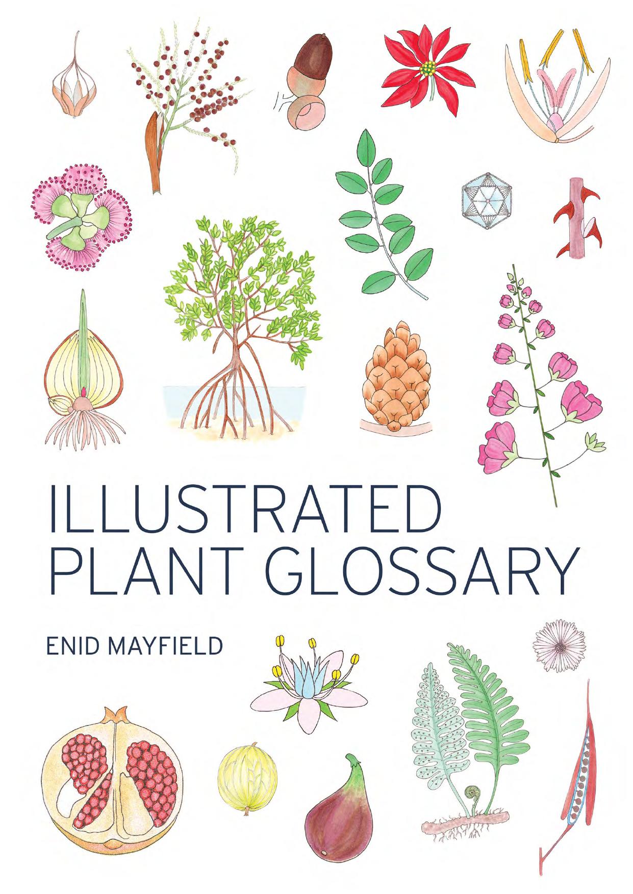 Illustrated Plant Glossary by Enid Mayfield;