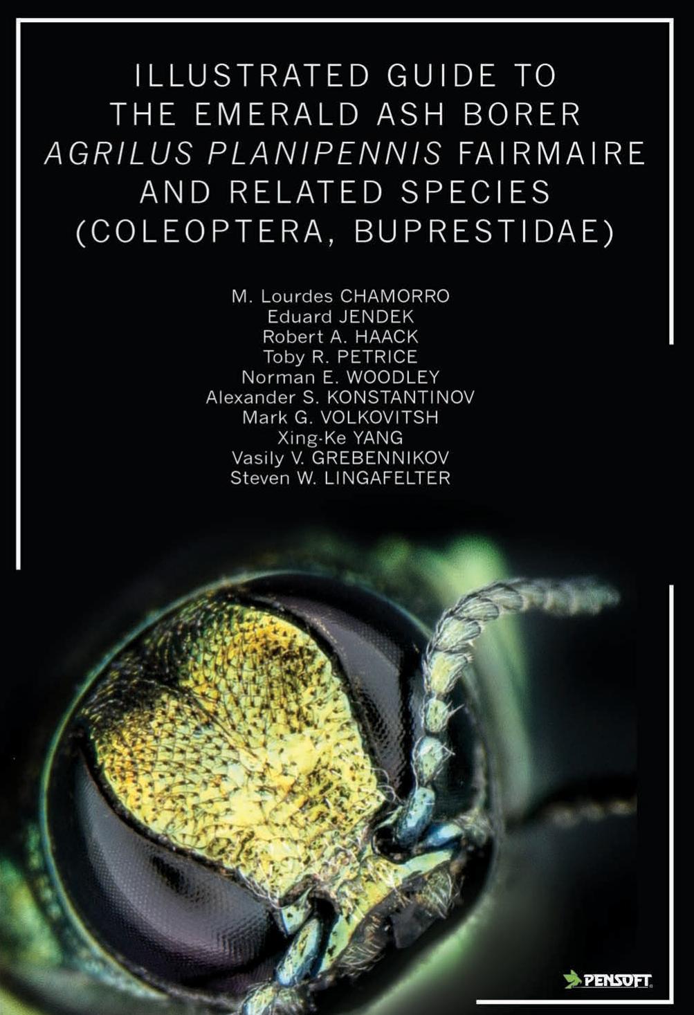 Illustrated guide to the emerald ash borer Agrilus planipennis Fairmaire and related species (Coleoptera, Buprestidae) by Chamorro M.L. et al