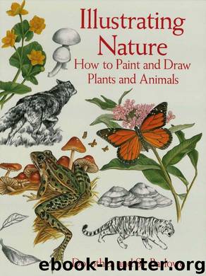 Illustrating Nature by Dorothea Barlowe & Sy Barlowe