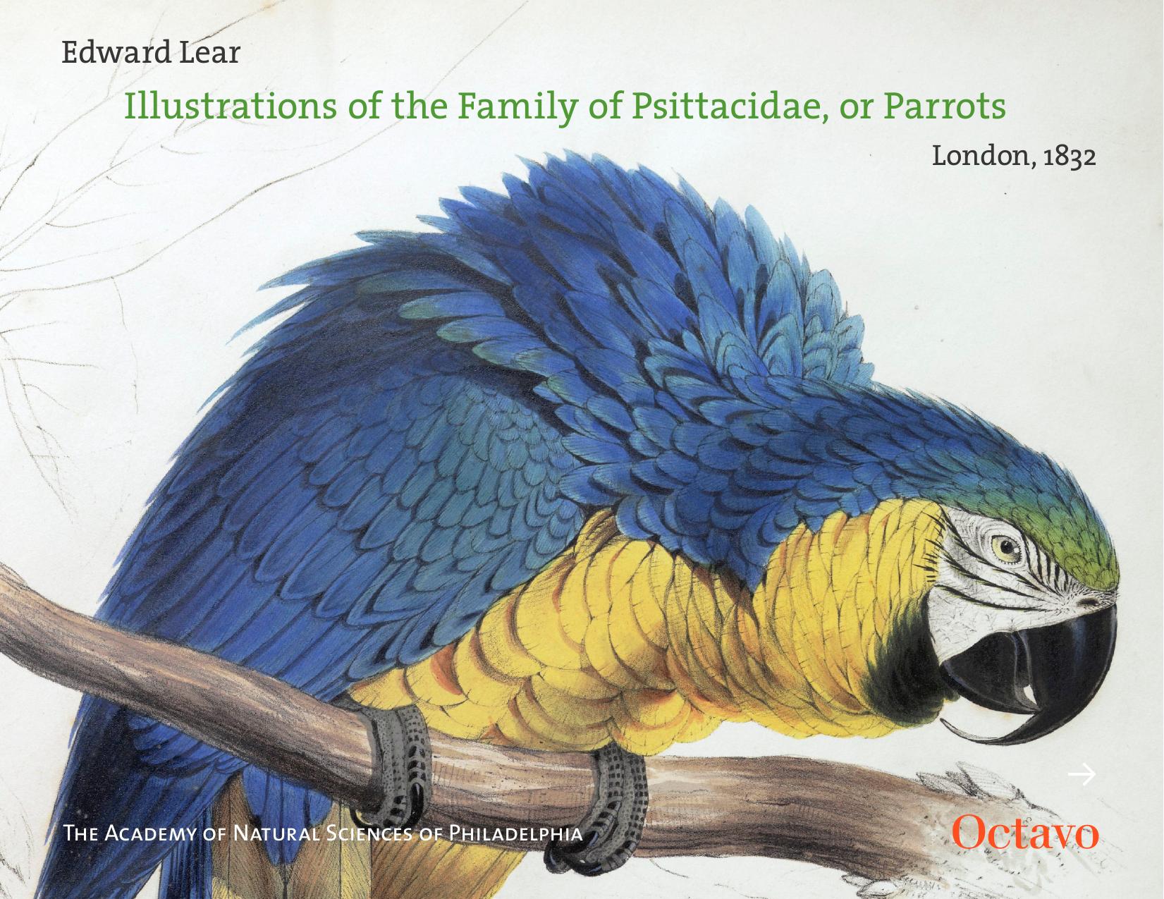 Illustrations of the family of Psittacidae, or parrots by Lear Edward