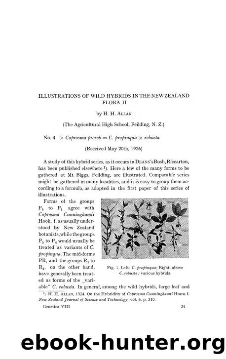 Illustrations of wild hybrids in the New Zealand flora II by Unknown