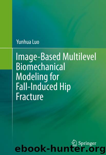 Image-Based Multilevel Biomechanical Modeling for Fall-Induced Hip Fracture by Yunhua Luo