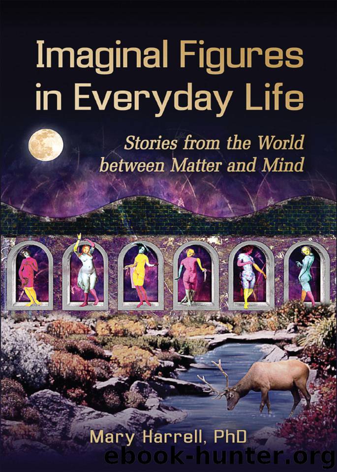 Imaginal Figures In Everyday Life: Stories from the World between Matter and Mind by Harrell Mary