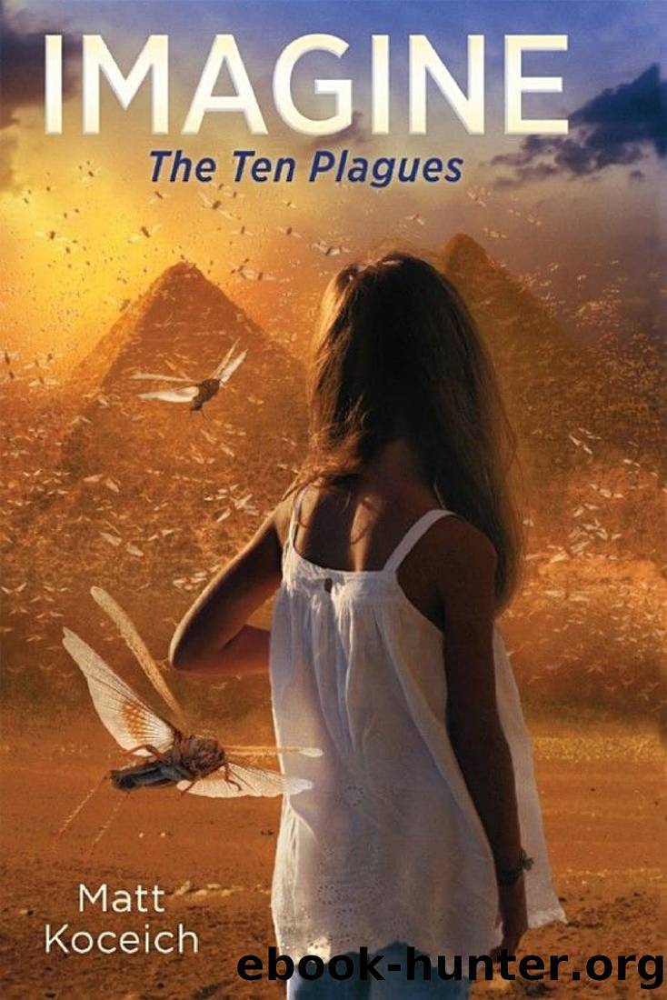 Imagine... The Ten Plagues by Matt Koceich