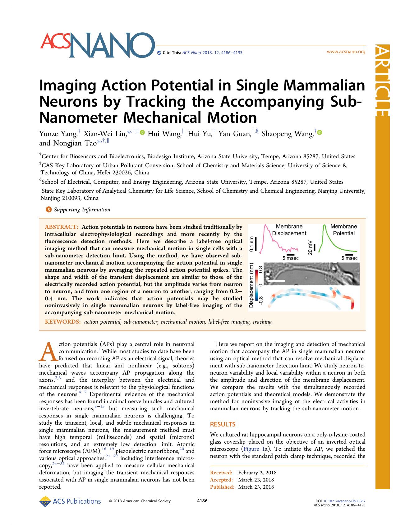 Imaging Action Potential in Single Mammalian Neurons by Tracking the Accompanying Sub-Nanometer Mechanical Motion by Yunze Yang Xian-Wei Liu Hui Wang Hui Yu Yan Guan Shaopeng Wang and Nongjian Tao