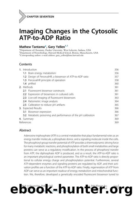 Imaging Changes in the Cytosolic ATP-to-ADP Ratio by Mathew Tantama & Gary Yellen