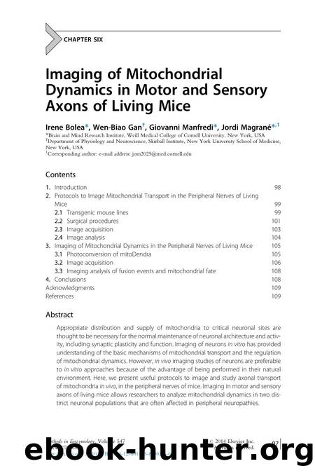 Imaging of Mitochondrial Dynamics in Motor and Sensory Axons of Living Mice by Irene Bolea & Wen-Biao Gan & Giovanni Manfredi & Jordi Magran