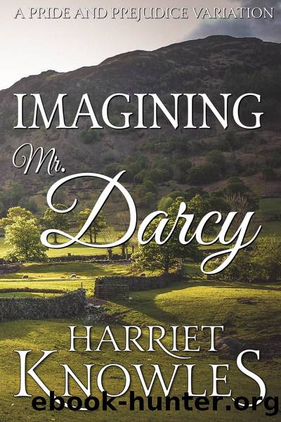 Imagining Mr. Darcy by Harriet Knowles