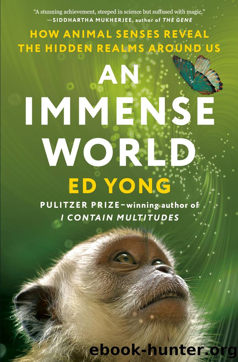 Immense World : How Animal Senses Reveal the Hidden Realms Around Us (9780593133248) by Yong Ed