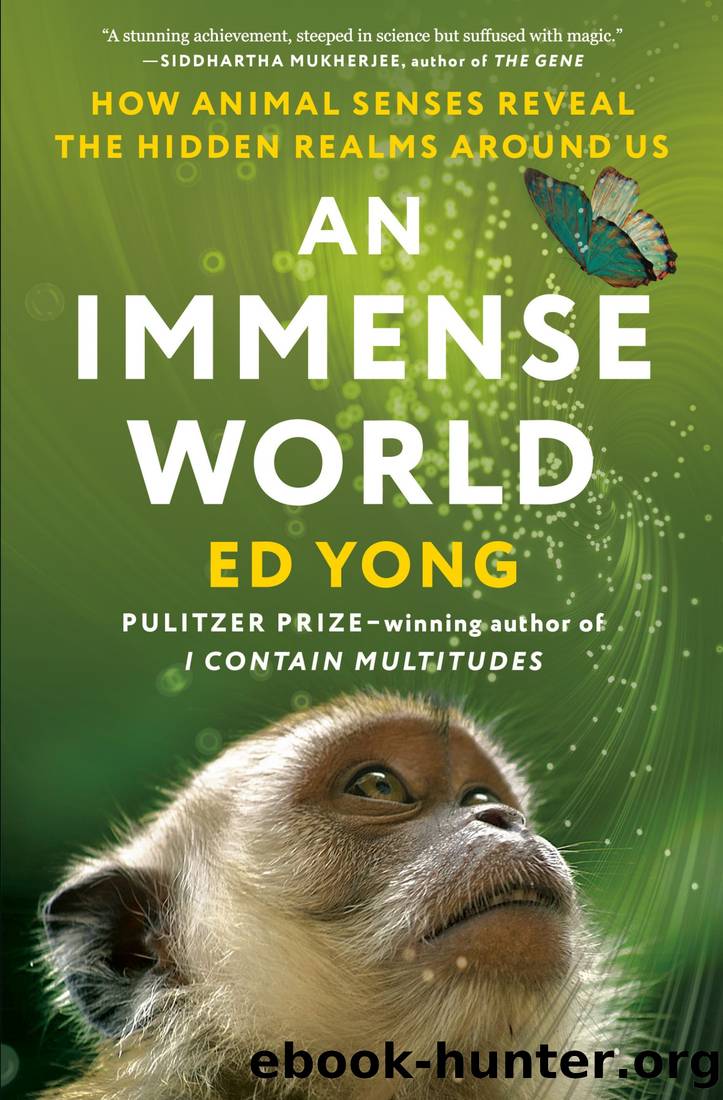 Immense World : How Animal Senses Reveal the Hidden Realms Around Us (9780593133248): How Animal Senses Reveal the Hidden Realms Around Us by Yong Ed