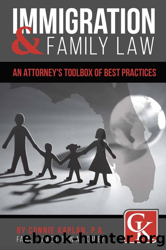 Immigration & Family Law: An Attorney's Toolbox of Best Practices by Connie Kaplan