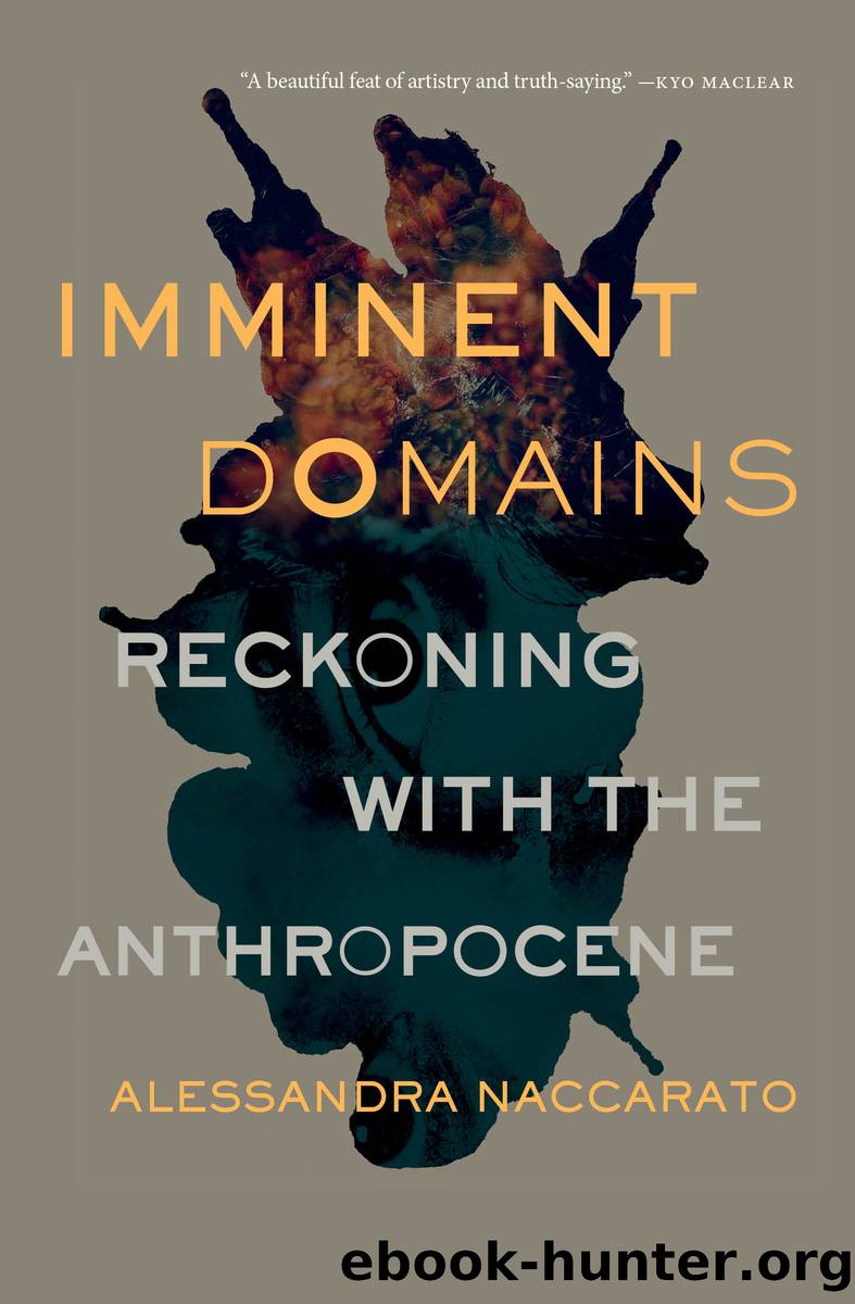 Imminent Domains by Alessandra Naccarato