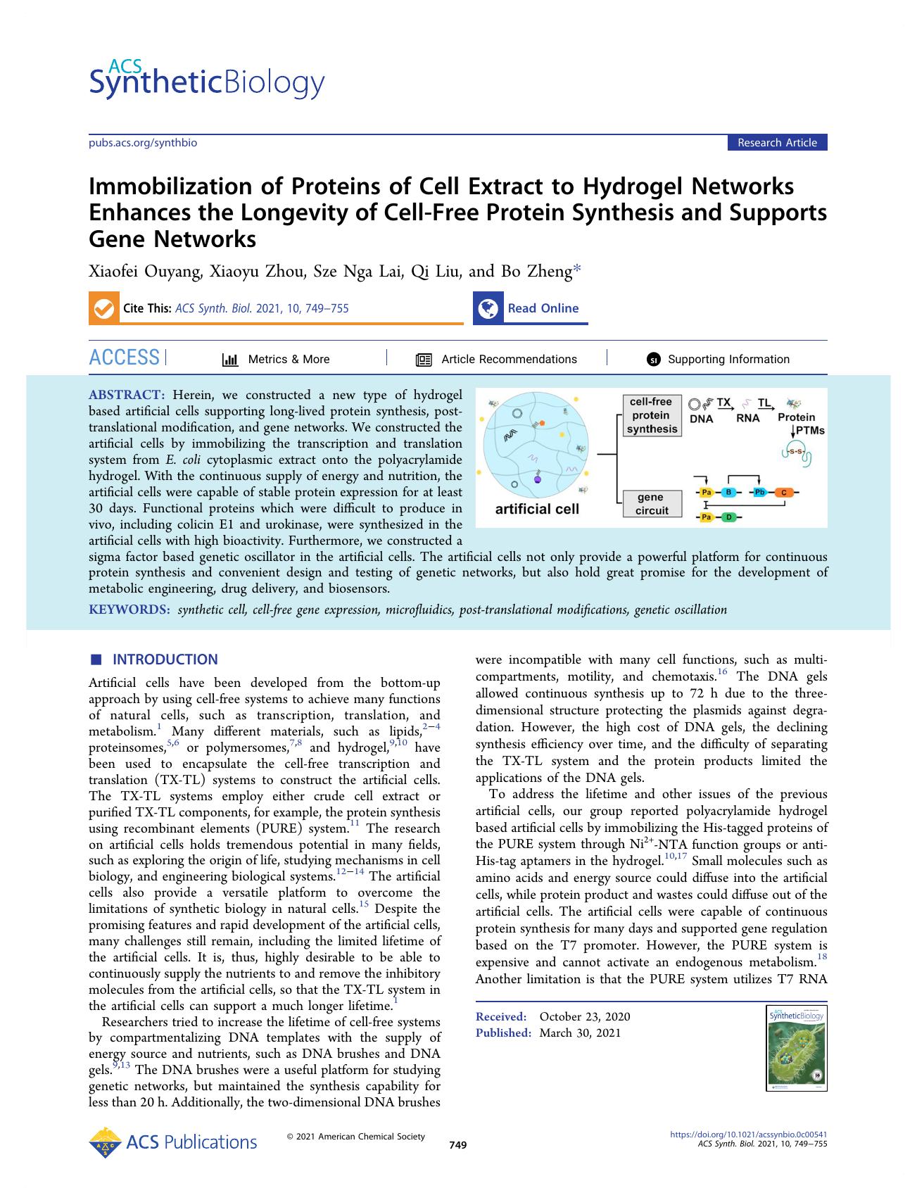 Immobilization of Proteins of Cell Extract to Hydrogel Networks Enhances the Longevity of Cell-Free Protein Synthesis and Supports Gene Networks by Xiaofei Ouyang Xiaoyu Zhou Sze Nga Lai Qi Liu and Bo Zheng