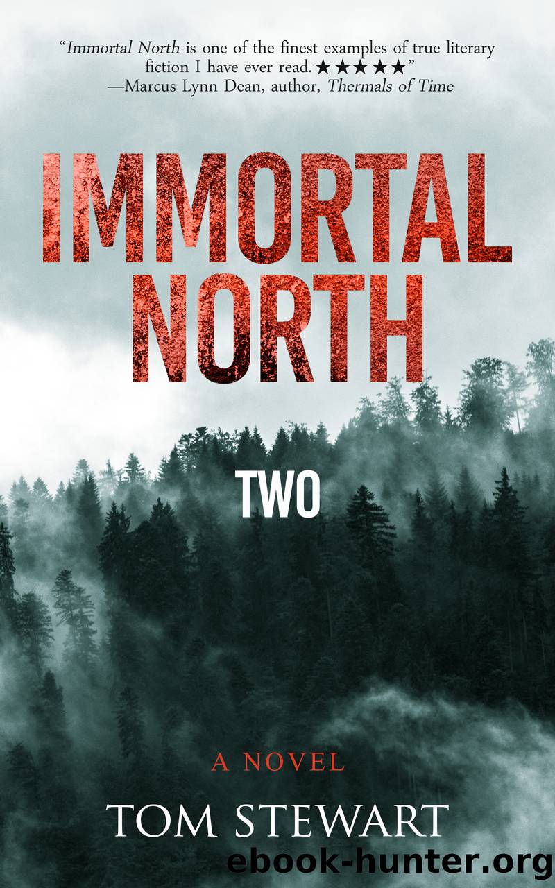 Immortal North Two by Tom Stewart