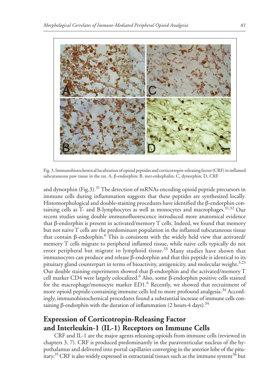 Immune Mechanisms of Pain and Analgesia by Halina Machelska