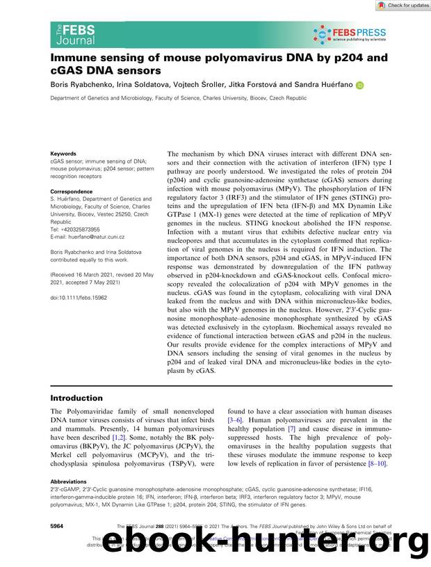Immune sensing of mouse polyomavirus DNA by p204 and cGAS DNA sensors by Unknown