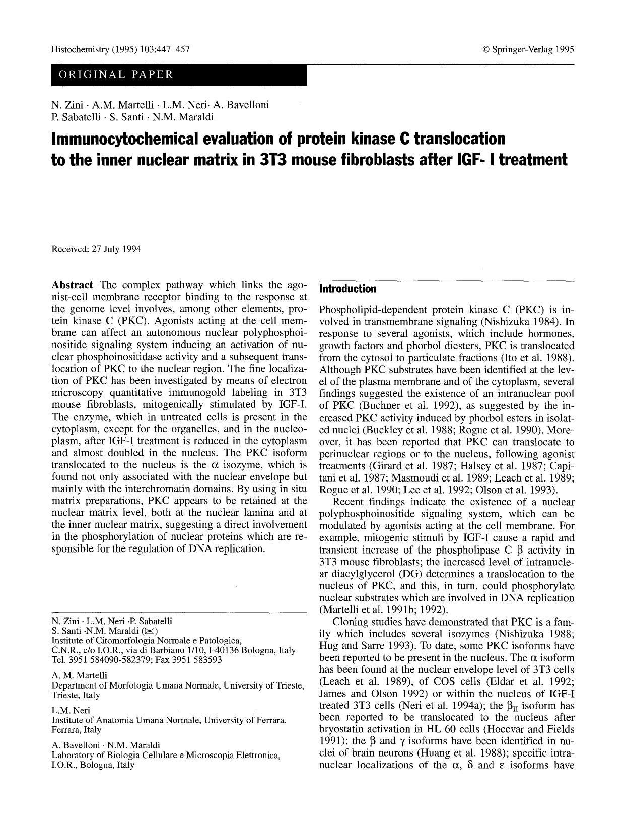 Immunocytochemical evaluation of protein kinase C translocation to the inner nuclear matrix in 3T3 mouse fibroblasts after IGF-I treatment by Unknown