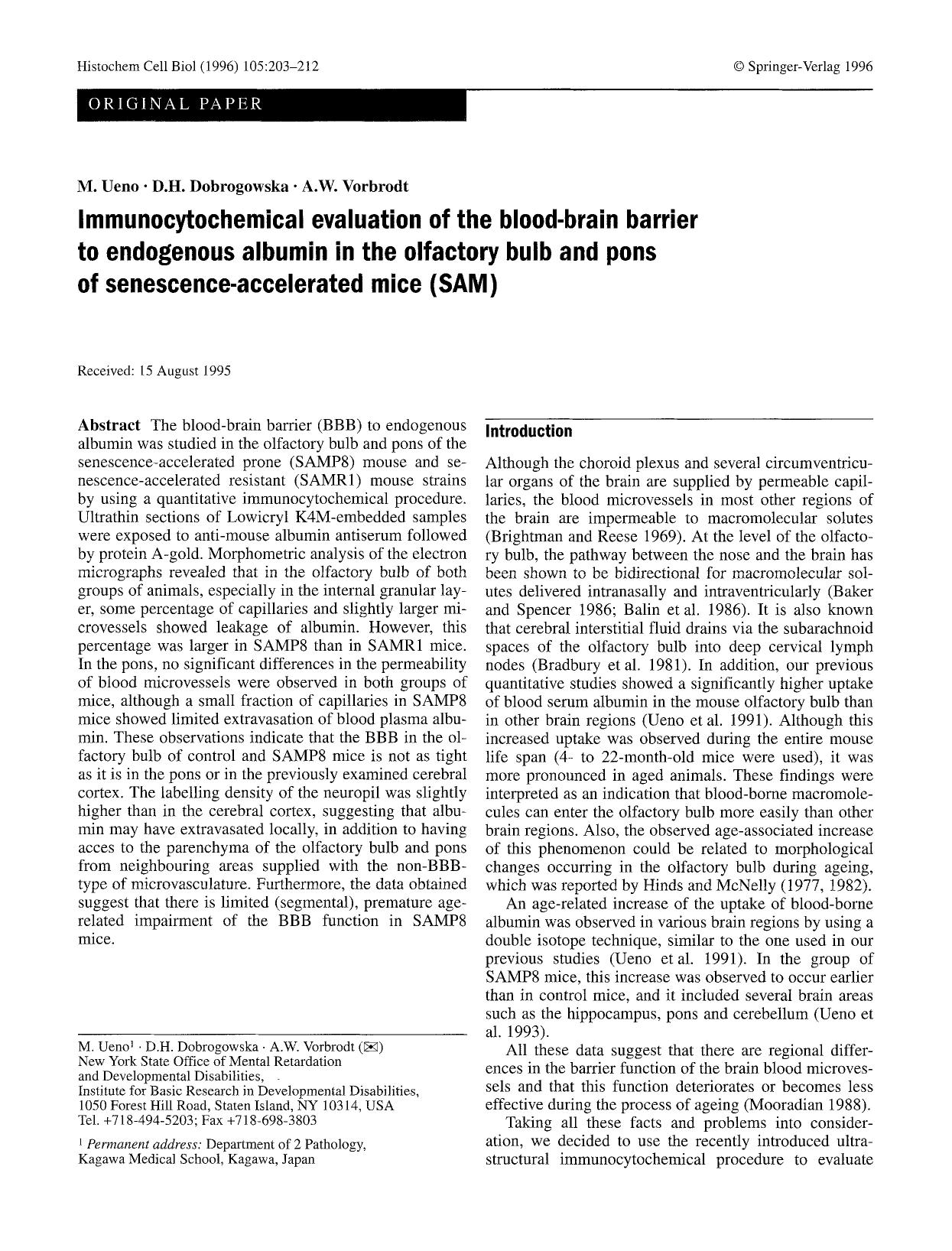 Immunocytochemical evaluation of the blood-brain barrier to endogenous albumin in the olfactory bulb and pons of senescence-accelerated mice (SAM) by Unknown
